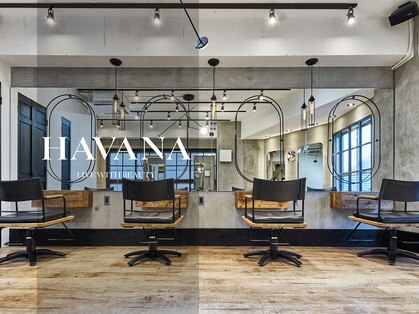 ハバナ 新宿(HAVANA)の写真