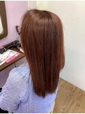 全体フルコース