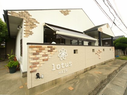 ロータスヘアー(lotus HAIR)の写真