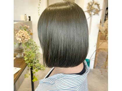 スナオ(sunao)の写真