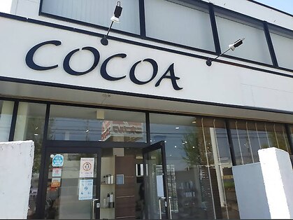 ココア(COCOA)の写真