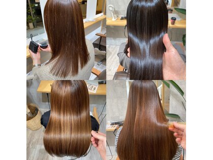 ハール(haar)の写真