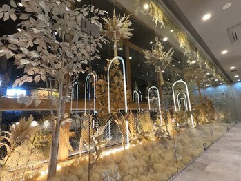 olelo 国立　【オレロ】