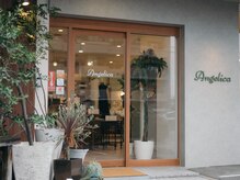 アンジェリカ(Angelica)