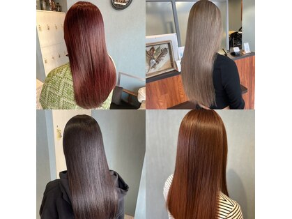 シャトン(chaton)の写真