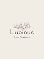 ルピナス 北千住(Lupinus)/Lupinus北千住