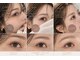 ビギン(BEGIN)の写真