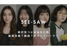シーソー(SEE-SAW)
