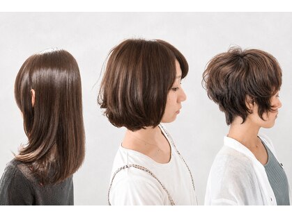 アナログノイ(analog noi)の写真
