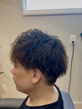 エピオン(epyon) ツイスパ×マッシュ