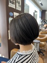 アメリカン ヘアー(American hair)&nbsp;School cat