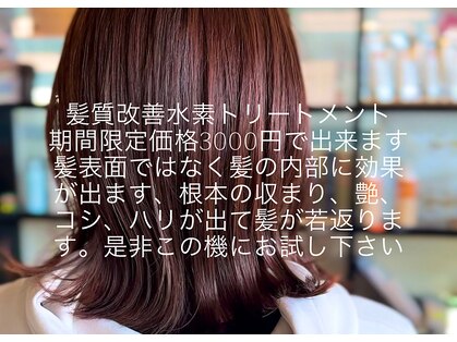 ルーミス バズヘアー(Loomis Buzzhair)の写真