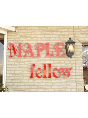 メイプルフェロー(MAPLE fellow)