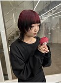 レッドルーツカラーハイトーンウルフ