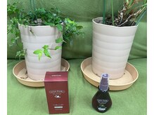 かゆみ、乾燥、敏感肌、弱酸性入りの話題のザクロ全身美容液☆