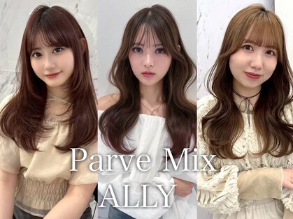 パーヴミックス アリー(Parve Mix ALLY)の写真