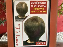 ティーズヘア(T’s hair)の雰囲気（増毛エクステH-UPシステム。是非ご相談下さい。）