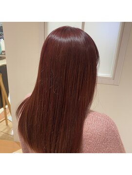 シャンプーボーイ ボルドー☆