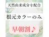 《早朝割》《平日9:00のみ》根元カラー＋TR　￥7500