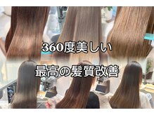 スエラ(suera)
