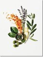 イマージュ アヴェダ 八王子店(Image AVEDA) イマージュ アヴェダ