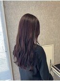 透明感バイオレットカラー【竹馬】