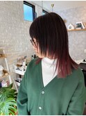 ミディアムウルフ