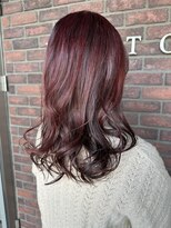 イーハトーヴ(IHATOV)&nbsp;ボルドールビー