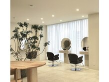 トーチ(torch)の雰囲気（自然光が差し込む心地よい空間で、リラックスしながら過ごせます）