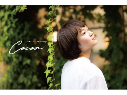 ココア(Cocoa)の写真
