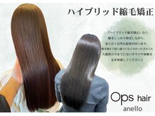 オプスヘアーアネロ(OPS HAIR ANELLO)の雰囲気（ストレートとトリートメントの組み合わせで仕上がりに感動♪）