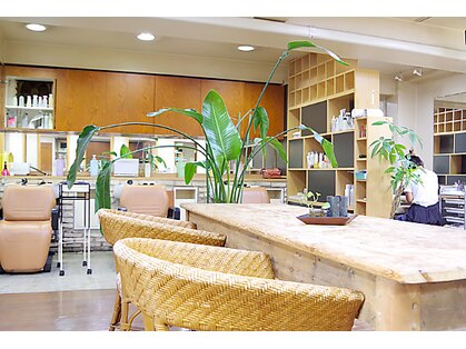 フリースタイル(@.Freestyle)の写真