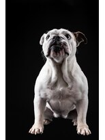 カルド(CALDO)&nbsp;・