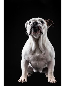 カルド(CALDO) ・