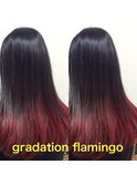 【trecolori 津田沼】グラデーション フラミンゴ
