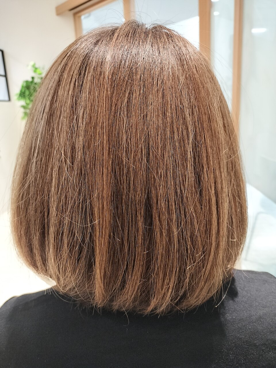 人気色☆くすみカラーアッシュブラウン8トーン/3：L201522132