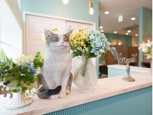アンフィ 高座渋谷(Anphi)の雰囲気（可愛い小物類が貴方様をお迎え致します♪♪）