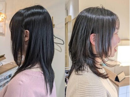 ナラ(nala)の写真