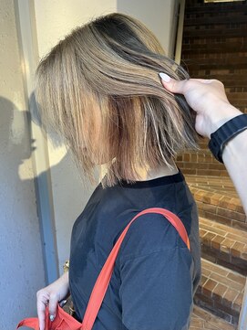 ジェスター(JESTER) 〈atsuno〉ヨークシャテリア色のセクションデザイン