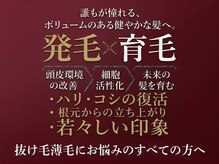 エイチビーエス 徳島(HBS)の雰囲気（◆【頭皮環境を促進する】最新再生美容で整える本格促進ケア）