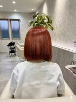 エスカリエ(Escalier)&nbsp;ブリーチなしダブルカラー×オレンジ