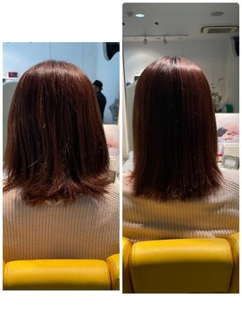 フローリス(Floris) ボブ