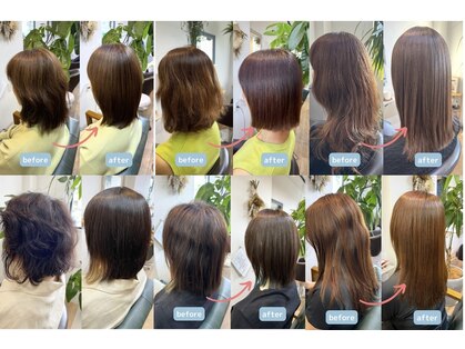 ラキ(laki)の写真