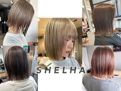 シェルハ(SHELHA)の写真