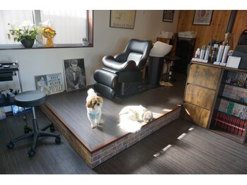 オッドスタイル(ODDSTYLE)の写真/めんこい看板犬がいるアットホームなヘアサロン♪気軽に遊びに来てください！