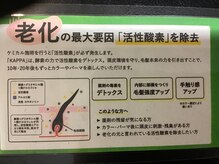 イネス(Ines)の雰囲気（活性酸素デトックスは将来の頭皮環境にとても大切だと思います）