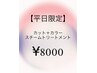 【★9月限定★】カット＋カラー＋スチームトリートメント￥8000