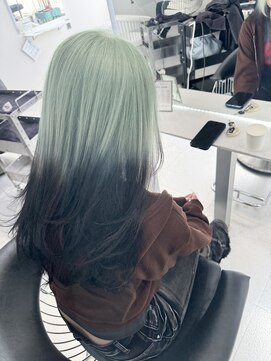 モア シルエ(MoA cilue) ルーツカラー