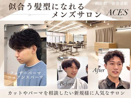 エース(ACES)の写真