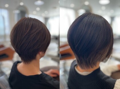 sisu【シス】【5月1日 NEW OPEN(予定）】の写真